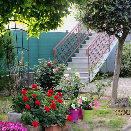 Terzo d' Aquileia 5 Palme Bed & Breakfast エクステリア 写真