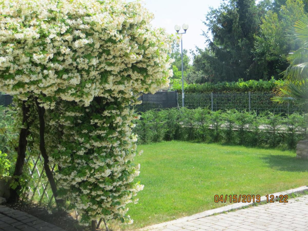 Terzo d' Aquileia 5 Palme Bed & Breakfast エクステリア 写真