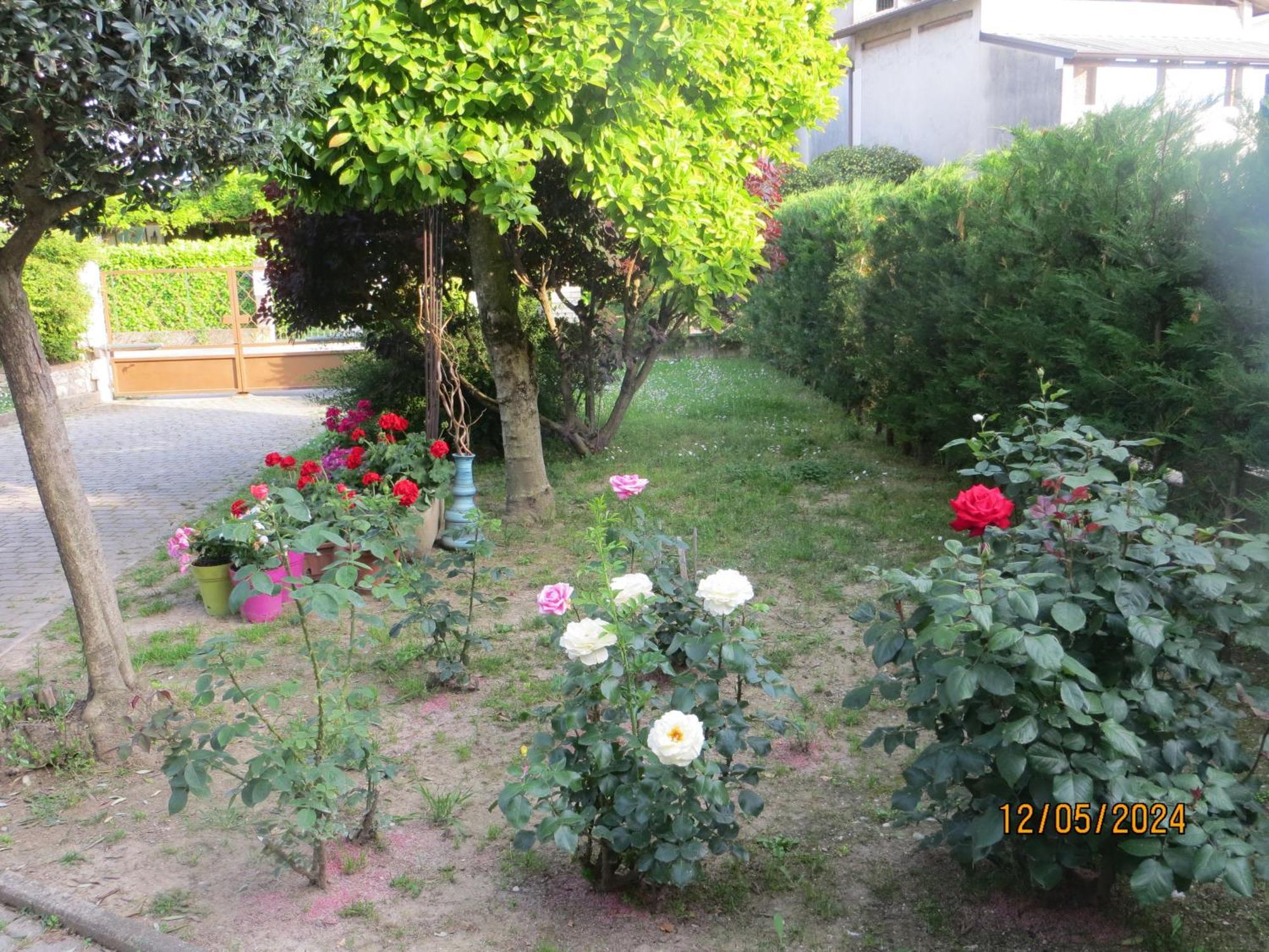 Terzo d' Aquileia 5 Palme Bed & Breakfast エクステリア 写真