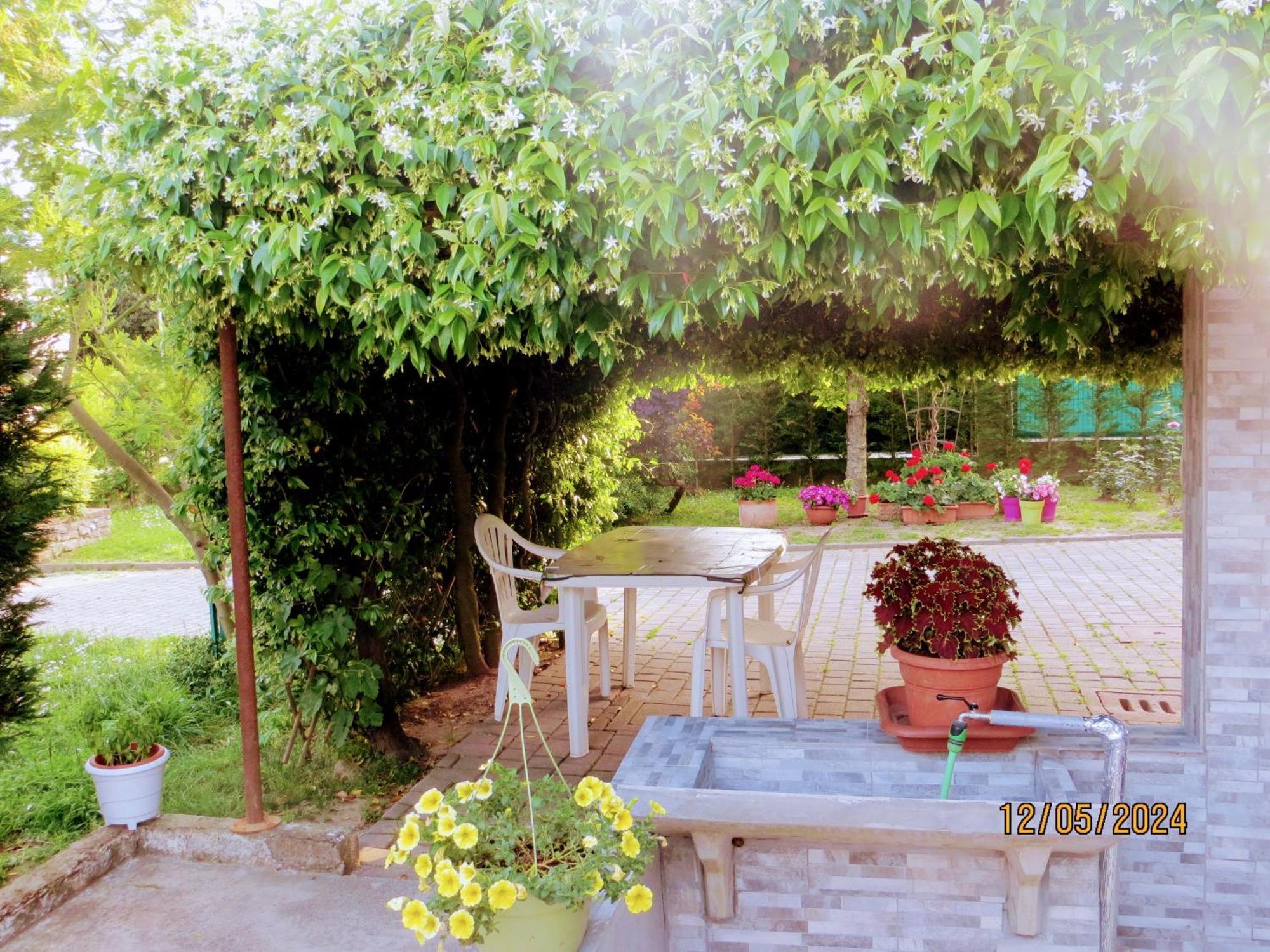 Terzo d' Aquileia 5 Palme Bed & Breakfast エクステリア 写真